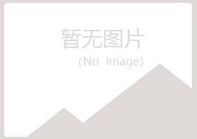 四川女孩能源有限公司